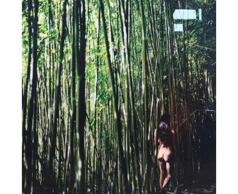 Annelies Damen (1968-)"Bambooforest 1", verso gesigneerd en gedateerd 2008, C-print, oplage 1/10, 100 x 100 cm. (beschadiging