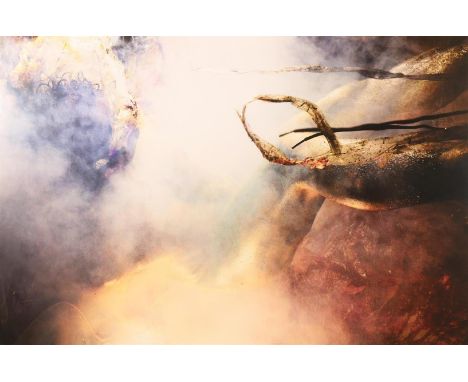 Ontbloot figuur in fantasielandschap, ongesigneerd, C-print, 180 x 120 cm.   