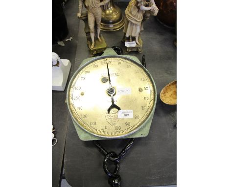 Salter Scales, no 034846
