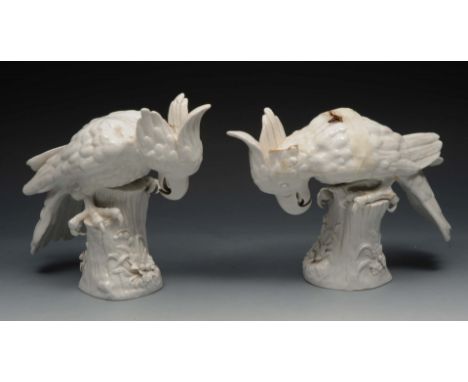A PAIR OF CONTINENTAL, PERHAPS VIENNA, WHITE CERAMIC MODELS of cockatoos, each standing on a tree trunk, restoration required
