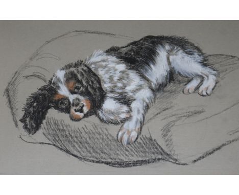 Dora Roderick, pastel, Portrait of a spaniel 'Gypsy' 18 x 27cm.