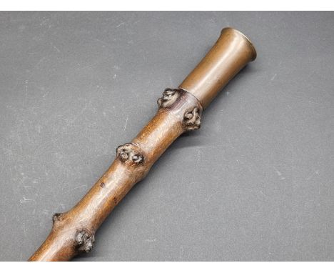 An unusual blackthorn style stick, with Chinese&nbsp;inscription and brass terminal, 99cm long. 