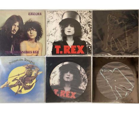 T REX AND RELATED - LPs. A smashing collection of around 16 LPs by T. Rex and related. TR titles include Warrior (HIFLY 6), E