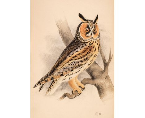 Meyer (Henry Leonard). Coloured illustrations of British Birds, and their Eggs, 7 volumes, London: G. Willis, 1853-57, 424 ha