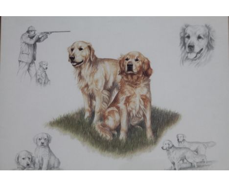 After Nigel Hemming. Gun Dogs, print, 31cm x 40cm.