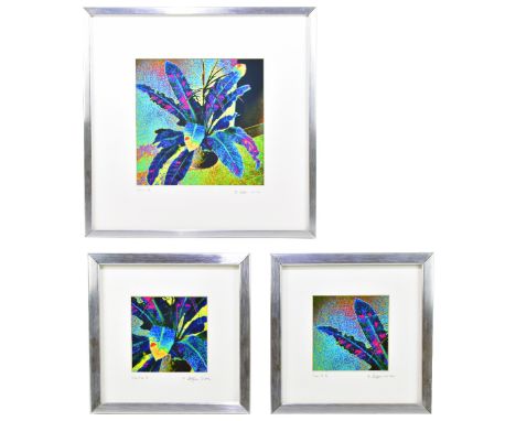 SHIRLEE MCGARVEY GLEESON; a set of three limited edition prints on archival paper, 'Solar I', 'Solar Ia' and 'Solar Ib', each
