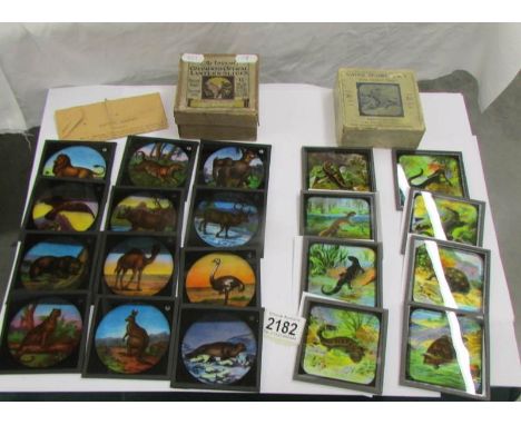 2 sets of coloured magic lantern slides being Natural History Series and  Reptiles etc.,