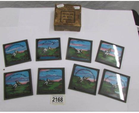 A set of coloured magic lantern slides entitled Foolish Birds and Artful Hedgehog.