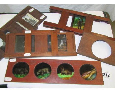 5 magic lantern slide carriers, Four with slides including Lincoln Cathedral, Animals and military.