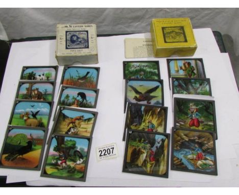 2 sets of coloured magic lantern slides entitled Sinbad and Aesop's Fables.