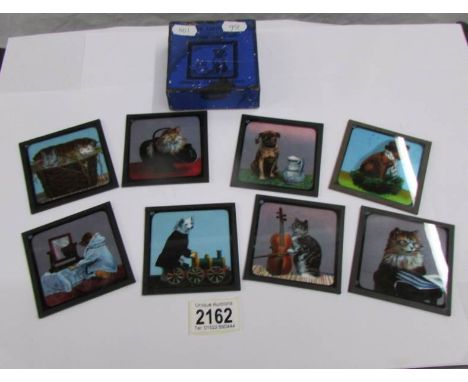 A set of coloured magic lantern slides entitled Comical Cats.
