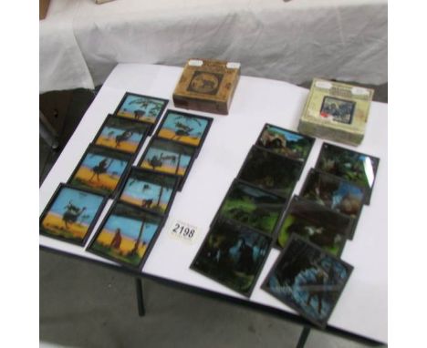2 seta of coloured magic lantern slides entitled Wild Animals and Never Ride a Strange Horse.