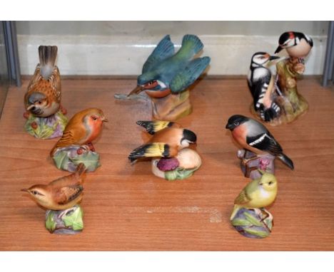 Collection of Royal Worcester bisque porcelain bird figures comprising: Kingfisher 3235, Red Woodpeckers 3363, Sparrow 3236, 