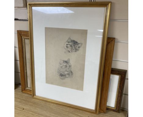Louis Wain (1860-1939), pencil sketch, Studies of a sleeping tabby cat, further studies verso, Chris Beetles label, 34 x 24cm