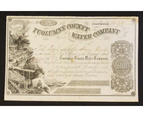 Tuolumne Water Company Share Certificate 1859 - A California Company established in the goldfields to provide water for washi