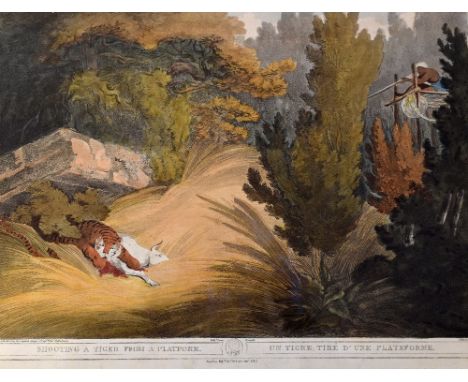 India - Shooting a Tiger from a Platform. Un Tigre D'Une Plateforme 1819 Print - aquatint by H. Merke, published by T. McLean