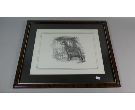 A Framed Print of a Doberman 