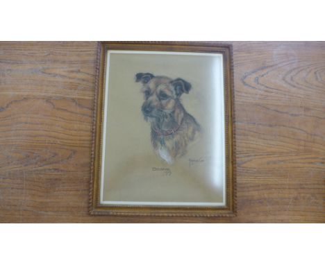 A pastel portrait of a Terrier signed Marjorie Cox and entitled 'Doone' 1969 - 39cm x 49cm 