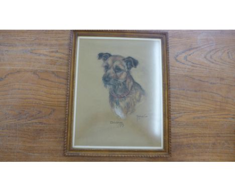 A pastel portrait of a Terrier signed Marjorie Cox and entitled 'Doone' 1969 - 39cm x 49cm 