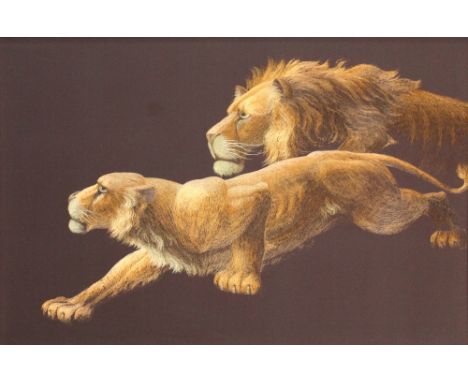 A Japanese late Meiji/early Taisho period silk tapestry of a lion and lioness, 48.5 x 68cm, in material-backed rosewood frame