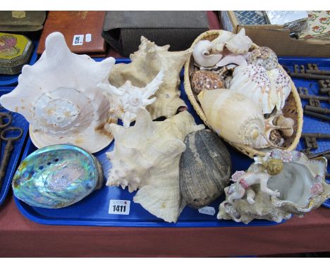 Sea Shells, including Nacre, Starfish, together with ceramic posy as a cherub surmounting shell:- One Tray.