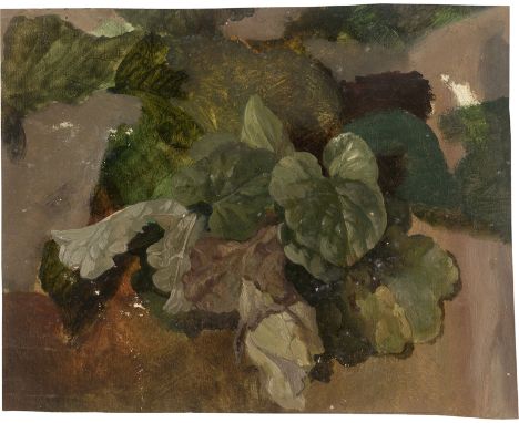 Reinhardt, Louis -- Staudengewächs mit herzförmigen Blättern.Öl auf festem Papier. 18 x 22,3 cm. Verso alt bezeichnet "[...] 