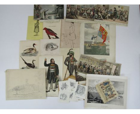 A tray of prints and drawings of dogs, military personnel, caricatures, coloured cruikshank cartoons and a coloured view of "