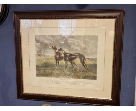 Waterloo Cup Greyhound Racing 1880 - London Etching by George Rees, Engraved by Hunt &amp; Sons - 81x70cm inc frame