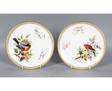 A GOOD PAIR OF ROYAL WORCESTER PLATES, with jeweled border painted with birds by John Hopewell, date code for 1876.