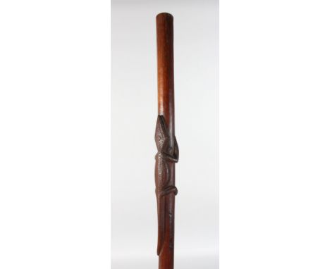 A WALKING STICK, Possibly Zulu or Soloman Islands, with carved lizard decoration. 43ins long.