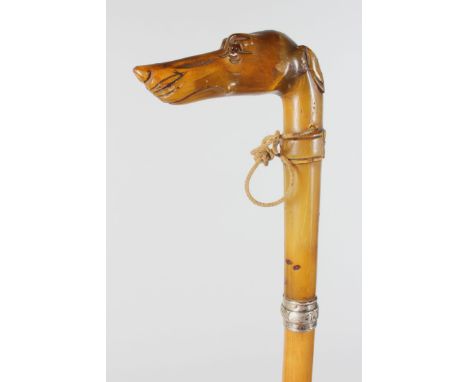 A HORN HANDLED WALKING STICK, Possibly Rhino, carved as a whippets head, with silver collar. 33ins long.