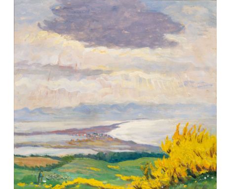 Elisabeth Büchsel (Stralsund 1867 - Stralsund 1957). Blick über Hiddensee. Öl/Karton. 36,5 x 39 cm. R. u. monogr. E. B. Min. 