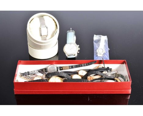 A small group of ladies fashion watches and a Sekonda wristwatch, including a boxed Radley, Festina, a Rotary and others