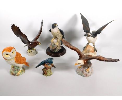 A Beswick golden eagle, 2062, a Beswick bald eagle, 1018, a Beswick owl 1046, twinned with a Spode osprey, touched up tiny ch