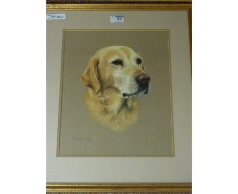 Study of a Labrador, pastel dog portrait signed and dated 35cm x 29cm