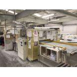 C Pack Pendle shrink wrapping line with tunnel and conveyor