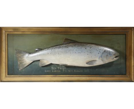 A George V painted wood half-block model of a sea trout by P. D. Malloch, mounted on a painted backboard, signed 'P. D. MALLO