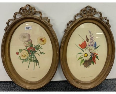 A pair of 19th century gilt wood framed prints of flower specimens, frame size 53cm.