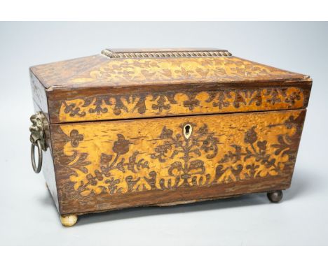 A 19th century rosewood and bird’s eye maple tea caddy, of sarcophagus form, the interior with mixing bowl, on ball feet31cm