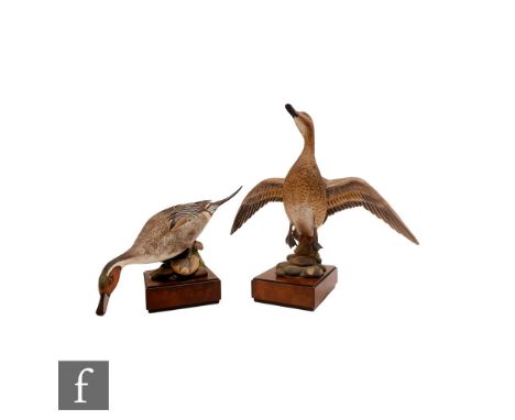 Two Royal Worcester models of American Pintail (Dafila Acuta), both modelled by Ronald Von Ruyckveltt, comprising one drake, 