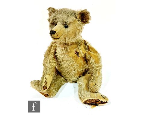 An early 20th Century German Steiff golden mohair bear, circa 1909, with long clipped snout, boot button eyes and vertically 