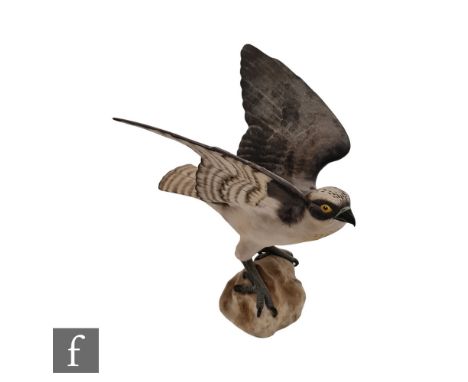 A Spode bisque model of an osprey (Pandion Haliaetus), printed mark, height 29cm. 