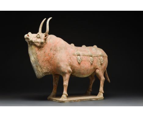 Northern Wei Dynasty, Ca. AD 386-534.A Northern Wei dynasty terracotta ox depicted with head tilted upwards flaring nostrils,