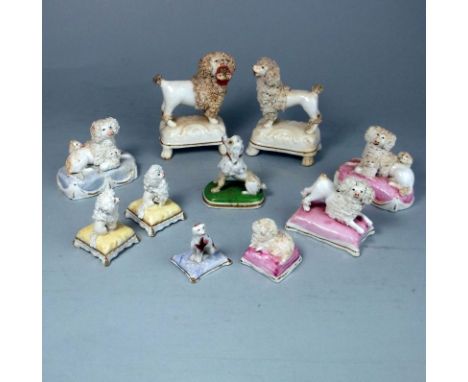 Nine Staffordshire porcelain poodles and a Chamberlain example: comprising a matched pair of bitches and puppies on tasselled