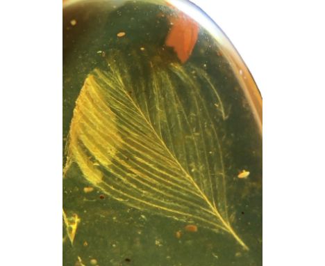 A VERY RARE DINOSAUR FEATHER FOSSIL IN BURMESE AMBER, An extremely scarce complete feather in dinosaur-aged amber. Found in t