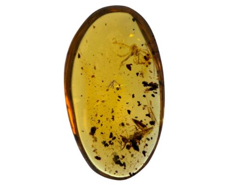 SPIDER AND LARGE ANT FOSSIL IN AMBER A spider and large ant in dinosaur-aged Burmese amber. From the mines of Kachin, Myanmar