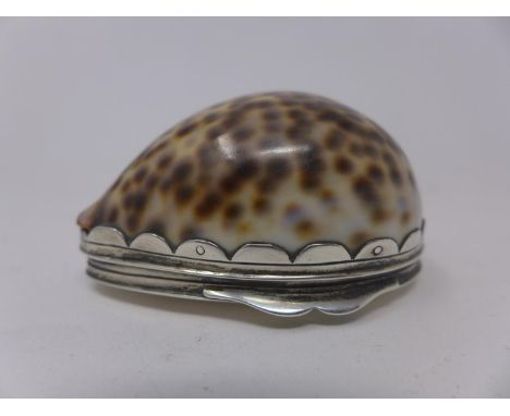 A white metal and tiger cowrie shell snuff box, with hinged lid, H.3.5 W.6 D.4.5cm 