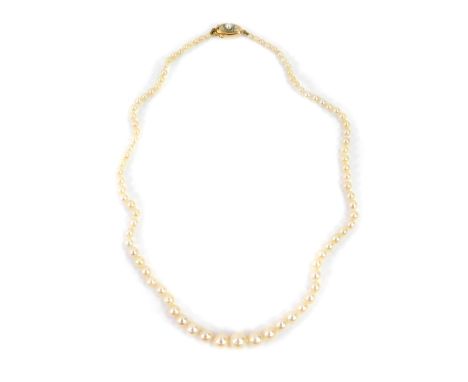 A string of graduated cultured pearls, on a 9ct gold and pearl set snap clasp.