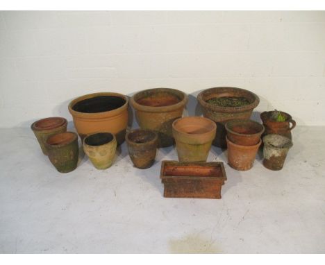 A collection of terracotta garden pots