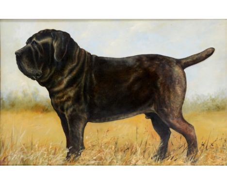 ATTRIBUTED TO ANN GRAY (BRITISH, 20TH CENTURY)  Portrait of a Black Mastiff,  oil on board, unsigned, 44.5cm x 68.5cm. 